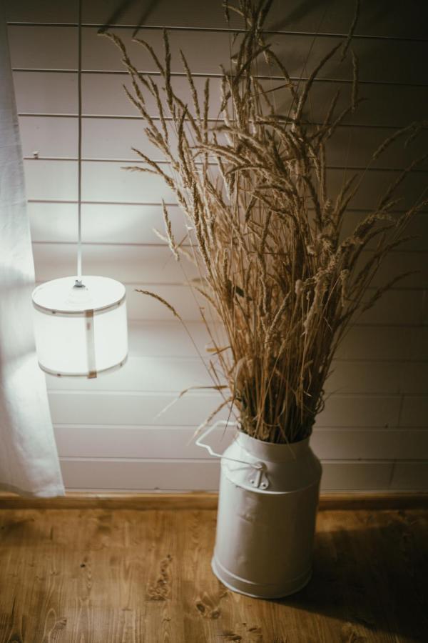 Viesu Maja Kalnaruski Ape Buitenkant foto